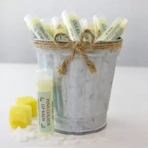 Piña Colada Tallow Lip Balm